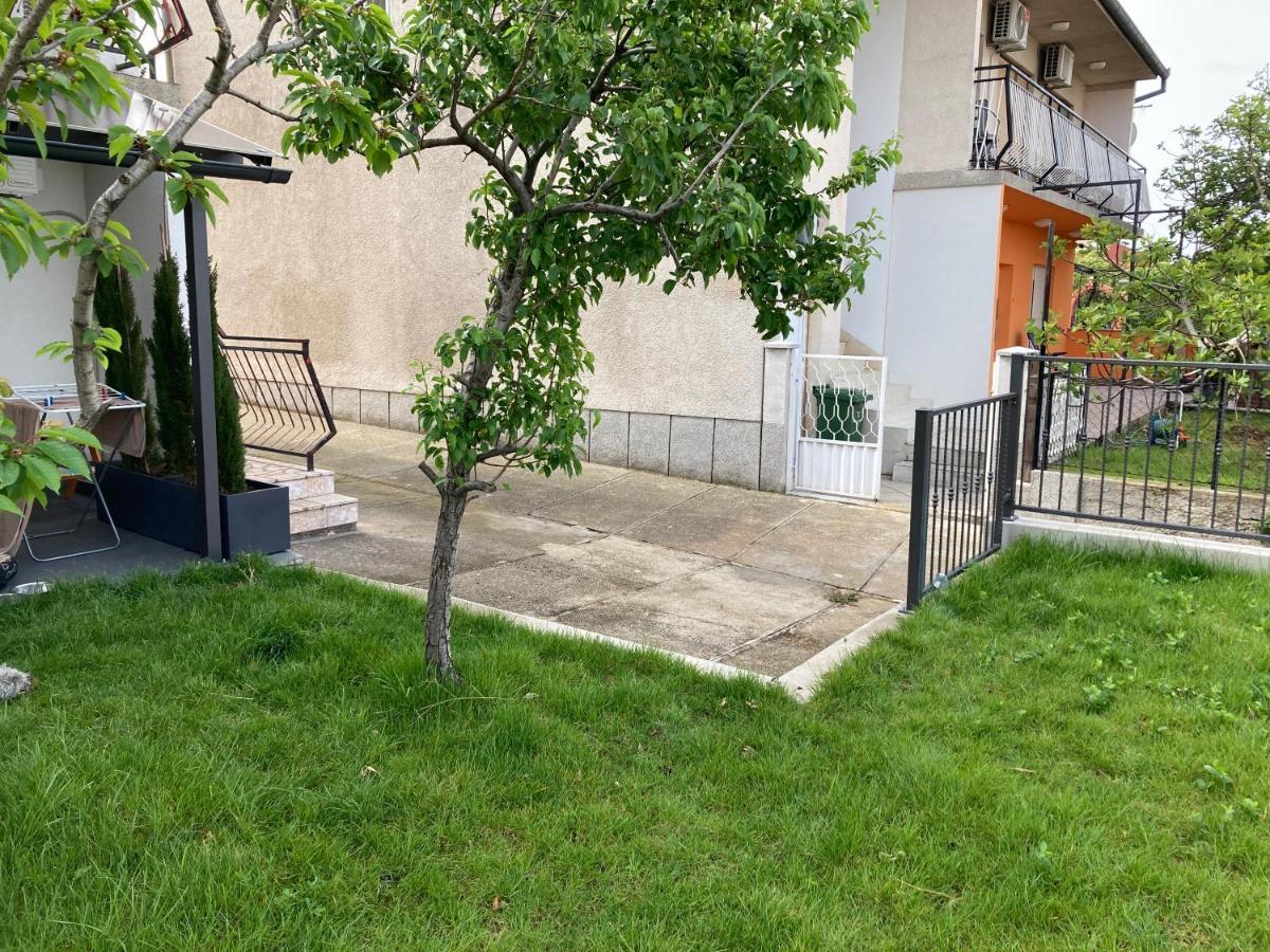 Seaview Apartment Moritz سينج المظهر الخارجي الصورة